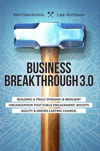 Business Breakthrough 3.0 book cover